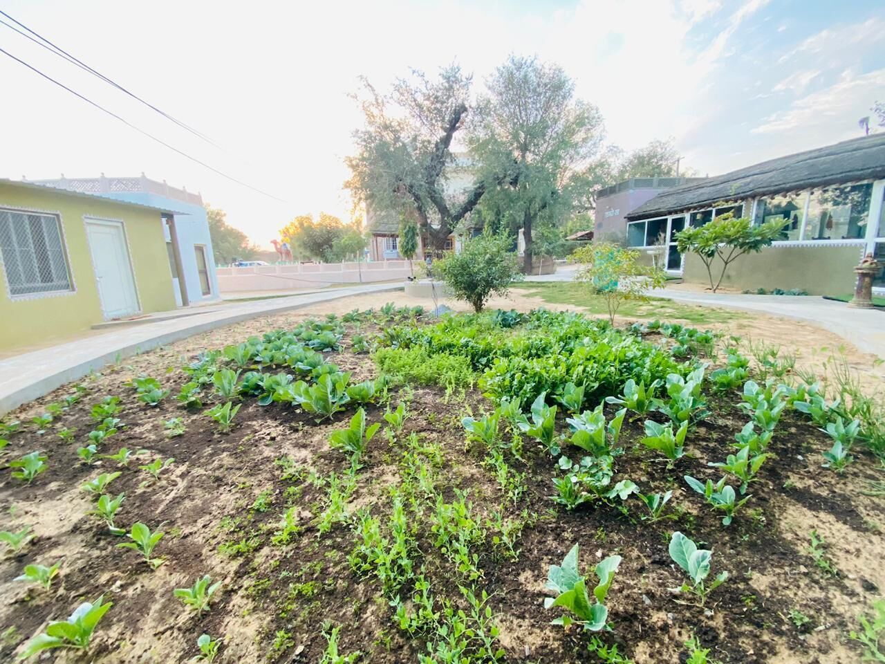 منطقة الأطفال