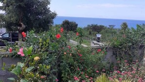 Ein Garten mit verschiedenen Pflanzen und Blumen, ein Baum und Blick auf das Meer.