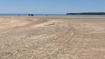 Beach nearby, sun loungers, beach towels