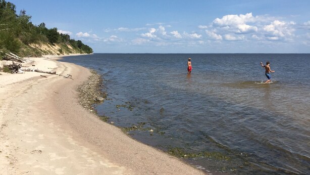 A beach with clear water, a sandy shore, and trees in the background. - GreenGlade Getaway Spacious Cabin & Estate, Lake Winnipeg, Games Room, Veranda (Victoria Beach)