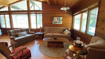 Televisión, chimenea, reproductor de DVD y libros