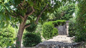 A stone pathway leading through a garden with various plants and a small waterfall.