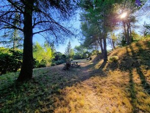 Ulkoalueet