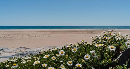 JC82: 3-bedroom air-conditioned pavilion with WIFI in Narbonne-Plage