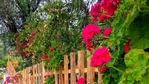 Un muro de piedra con valla de madera y vibrantes flores rosadas.