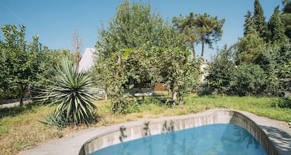Bolnisi Prime House