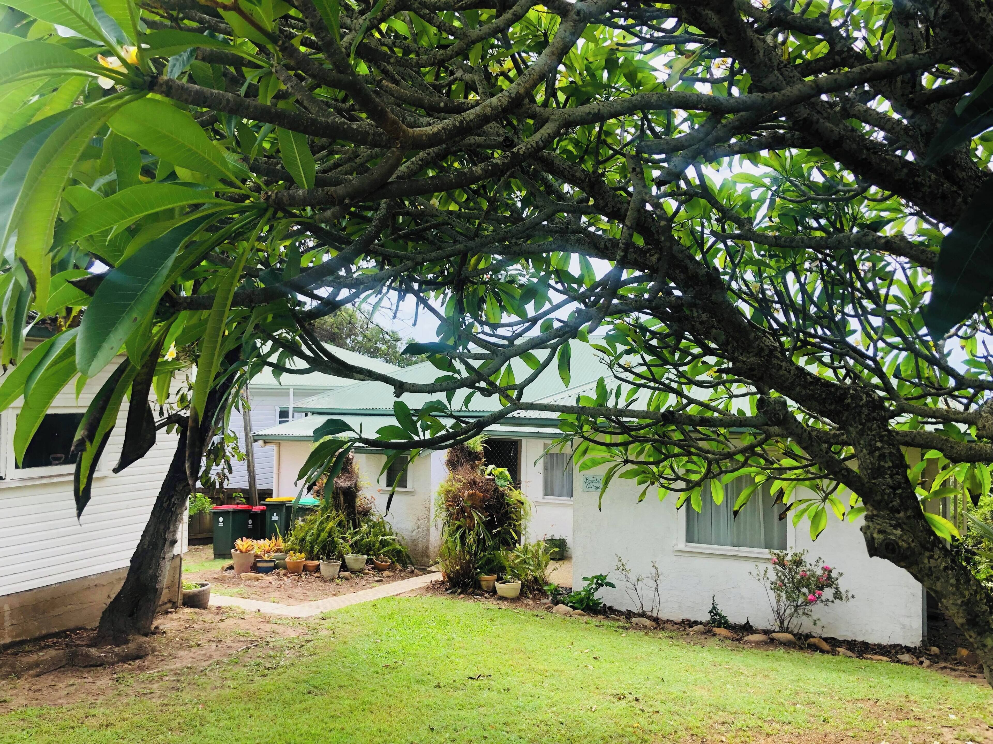 A residential property with a white exterior, a well-maintained lawn, and a variety of potted plants and shrubs.
