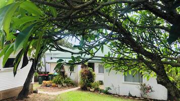 A residential property with a white exterior, a well-maintained lawn, and a variety of potted plants and shrubs.