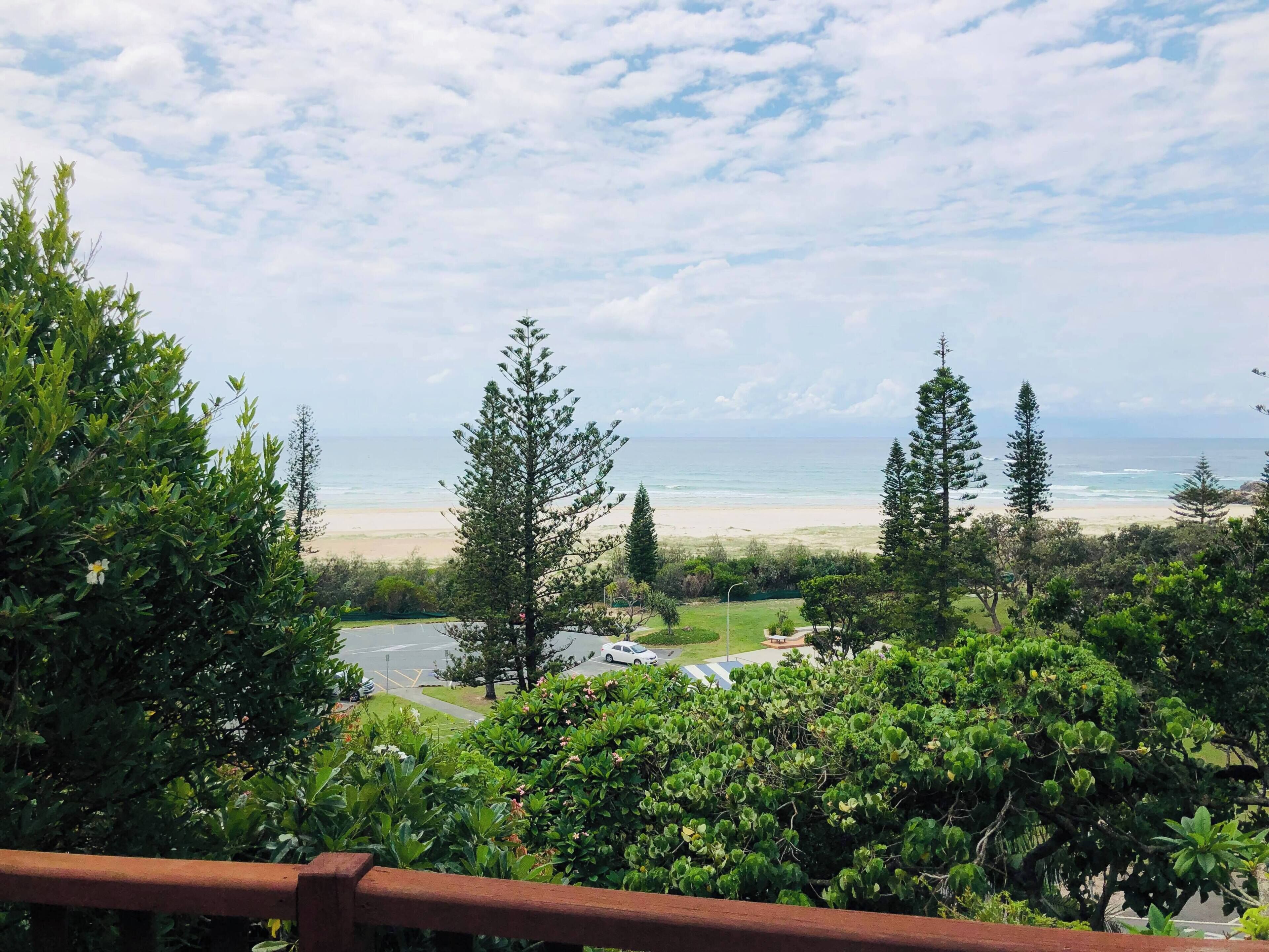 Une vue côtière avec une plage, des arbres et une route bordée de voitures garées.