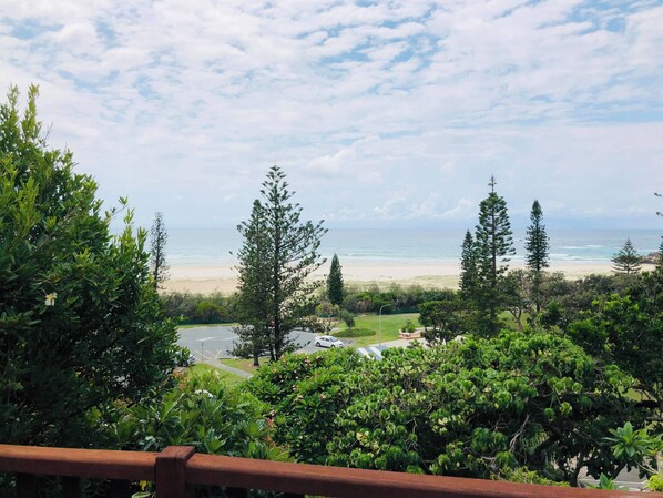 A coastal view with a beach, trees, and a road with parked cars.