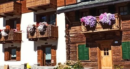 appartement Ringemel-3