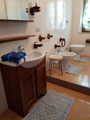 Shower, hair dryer, bidet, towels