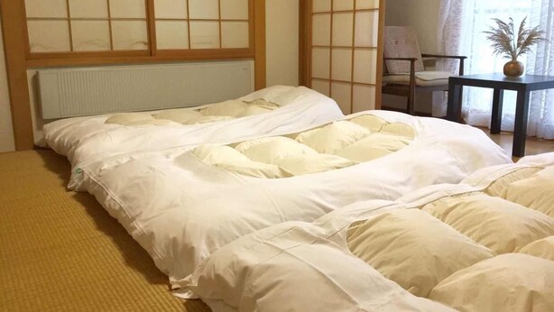 Una camera d'albergo con un letto, un tavolino con una pianta e una sedia.