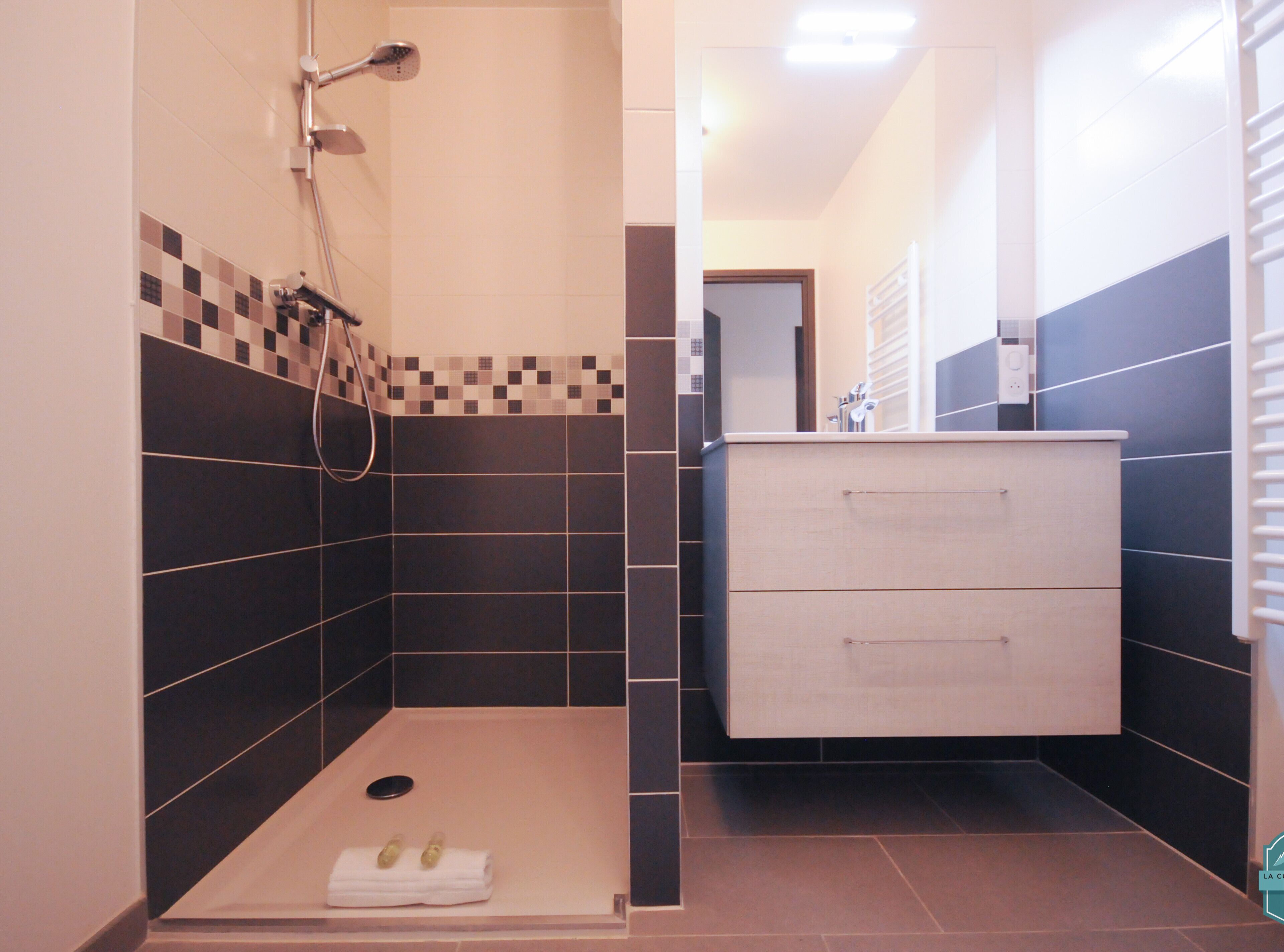 Shower, hair dryer, towels