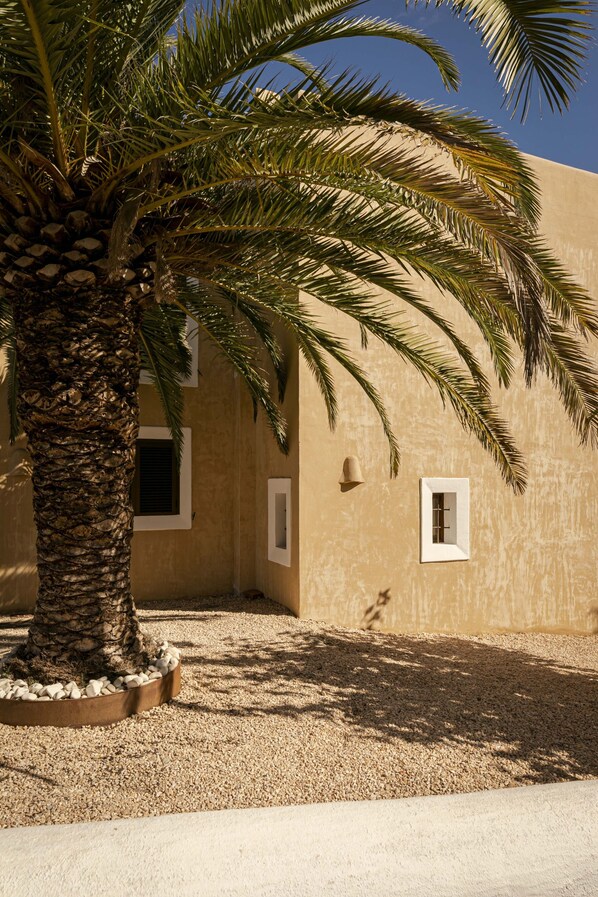 A palm tree in front of a building with a beige facade and white-framed windows. - Villa with terrace and BBQ equipped with all amenities (Sant Francesc de Formentera)