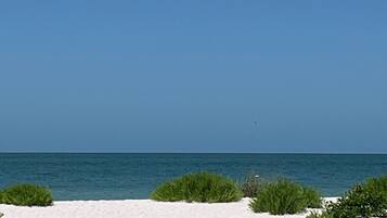 Playa en los alrededores, camastros y sombrillas