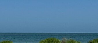 Great Resort & Condo - 3 bedrooms with 2 King Beds, Twin bunk & 2 Queen sleepers