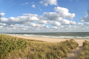 Una spiaggia nelle vicinanze, lettini da mare, teli da spiaggia