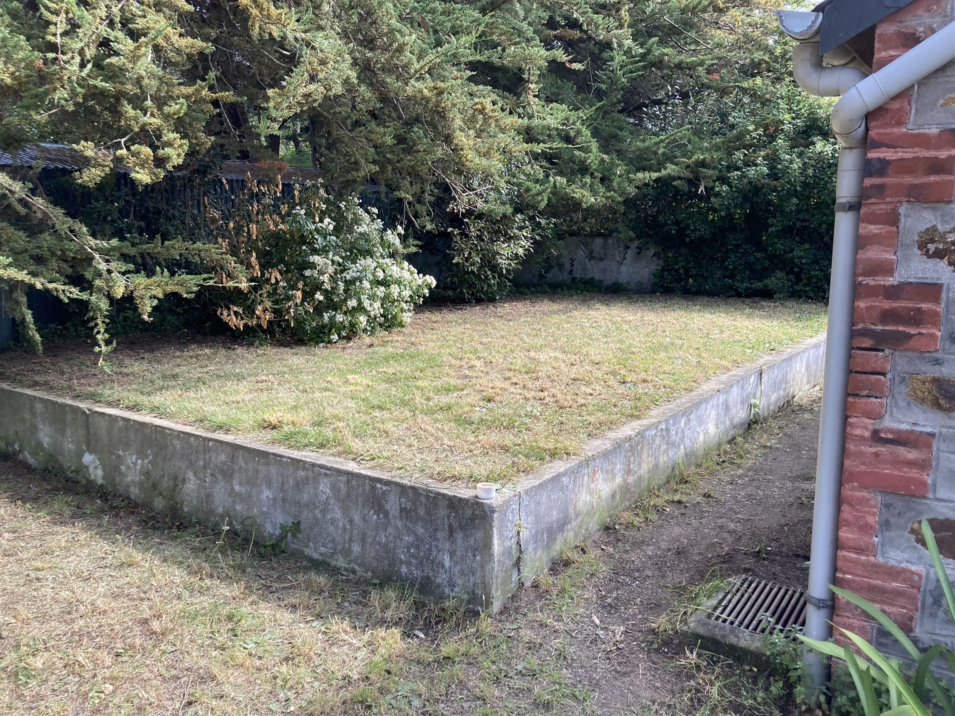 A concrete planter box with a grassy area and dense shrubbery.