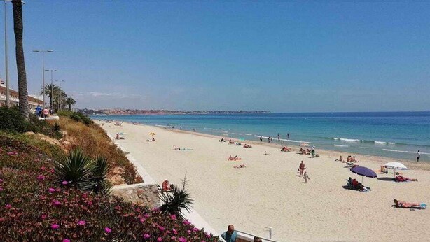 A beach with people sunbathing and swimming, palm trees, and a clear sky. - Apartamento Tulipanes (Pilar de la Horadada) (Pilar de la Horadada)