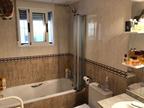 Combined shower/bathtub, hair dryer, bidet