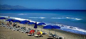 Playa en los alrededores y camastros 