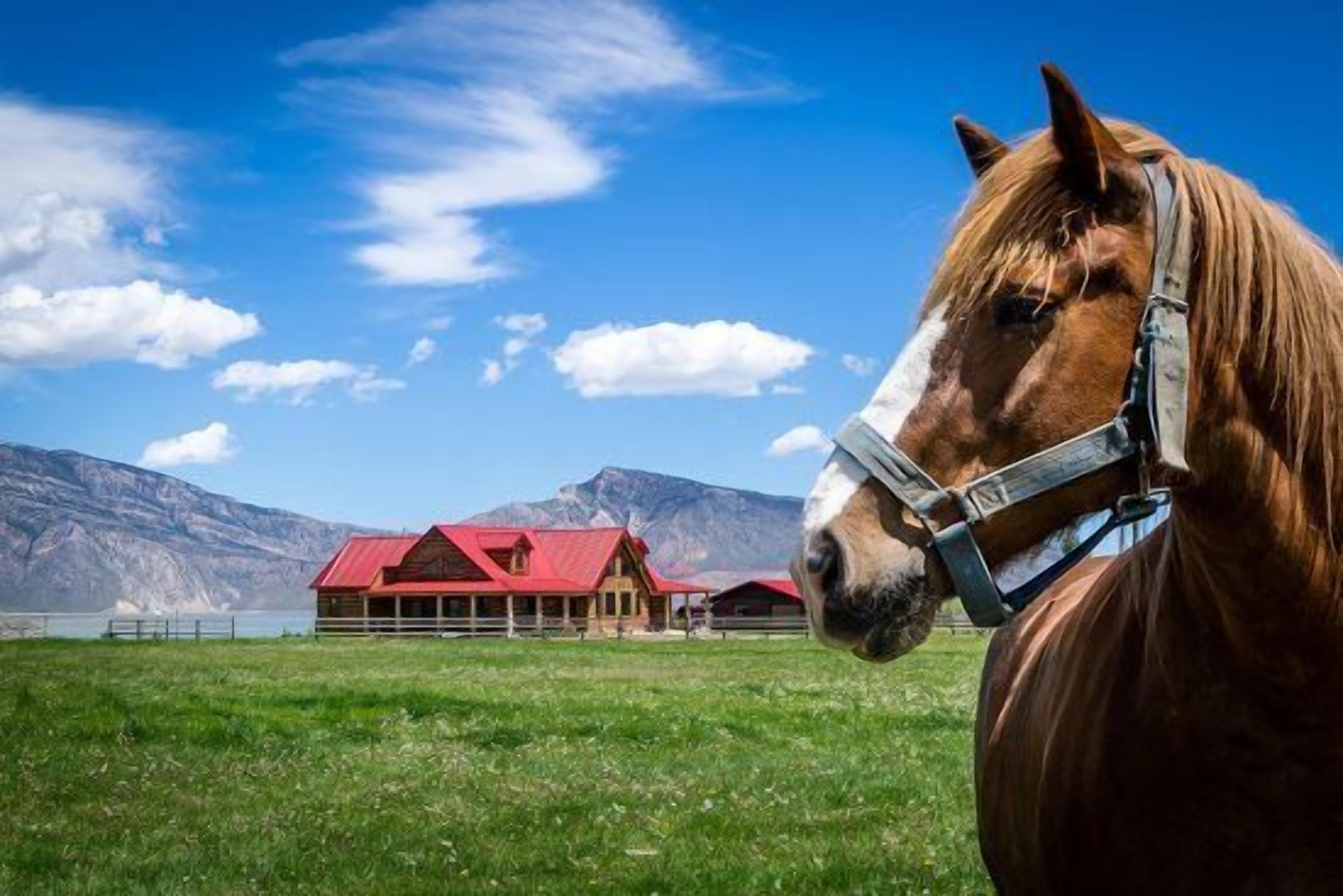 Red Roof Ranch, located on a private 15 acres with stunning mountain and lake views!
