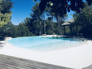 Relax by the serene pool surrounded by lush greenery and tall trees.