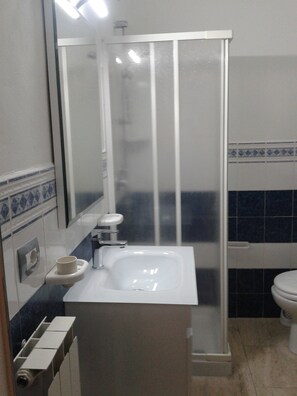 Ducha, secador de pelo, bidé y toallas
