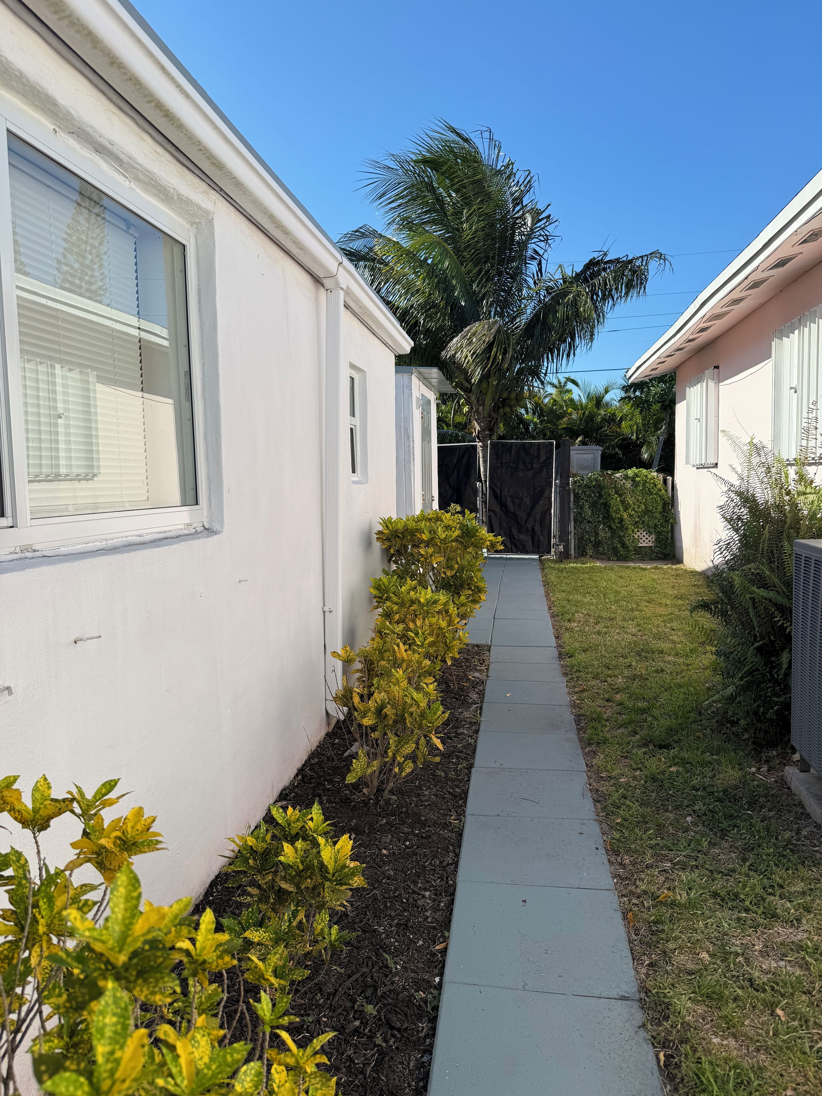 A residential area with two single-story houses, a narrow pathway, and a small garden with yellow-leaved shrubs.