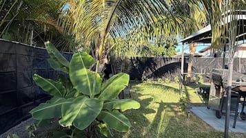 A garden with palm trees and a large banana plant.