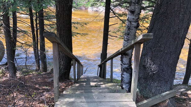 Eine Holztreppe führt zu einem Fluss, der von Bäumen umgeben ist.