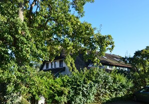Une maison à moitié dissimulée par une végétation luxuriante et verdoyante, avec une fenêtre visible et un toit de chaume.