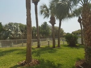 Property grounds - Exquisite Garden Unit, Custom Finishes (Sarasota)