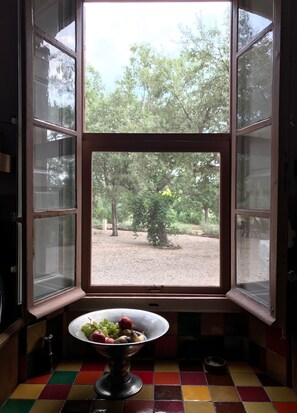 Interior - Idyllic Secluded Provençal Villa in Protected Park Land (Le Luc)