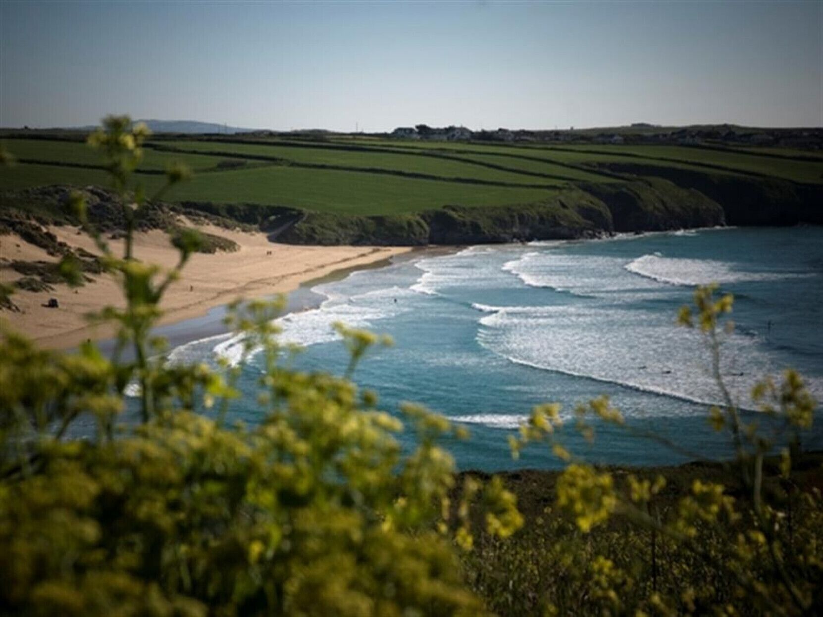 بالقرب من الشاطئ