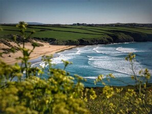 A coastal landscape with a beach, waves, and rolling hills.