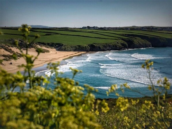 بالقرب من الشاطئ