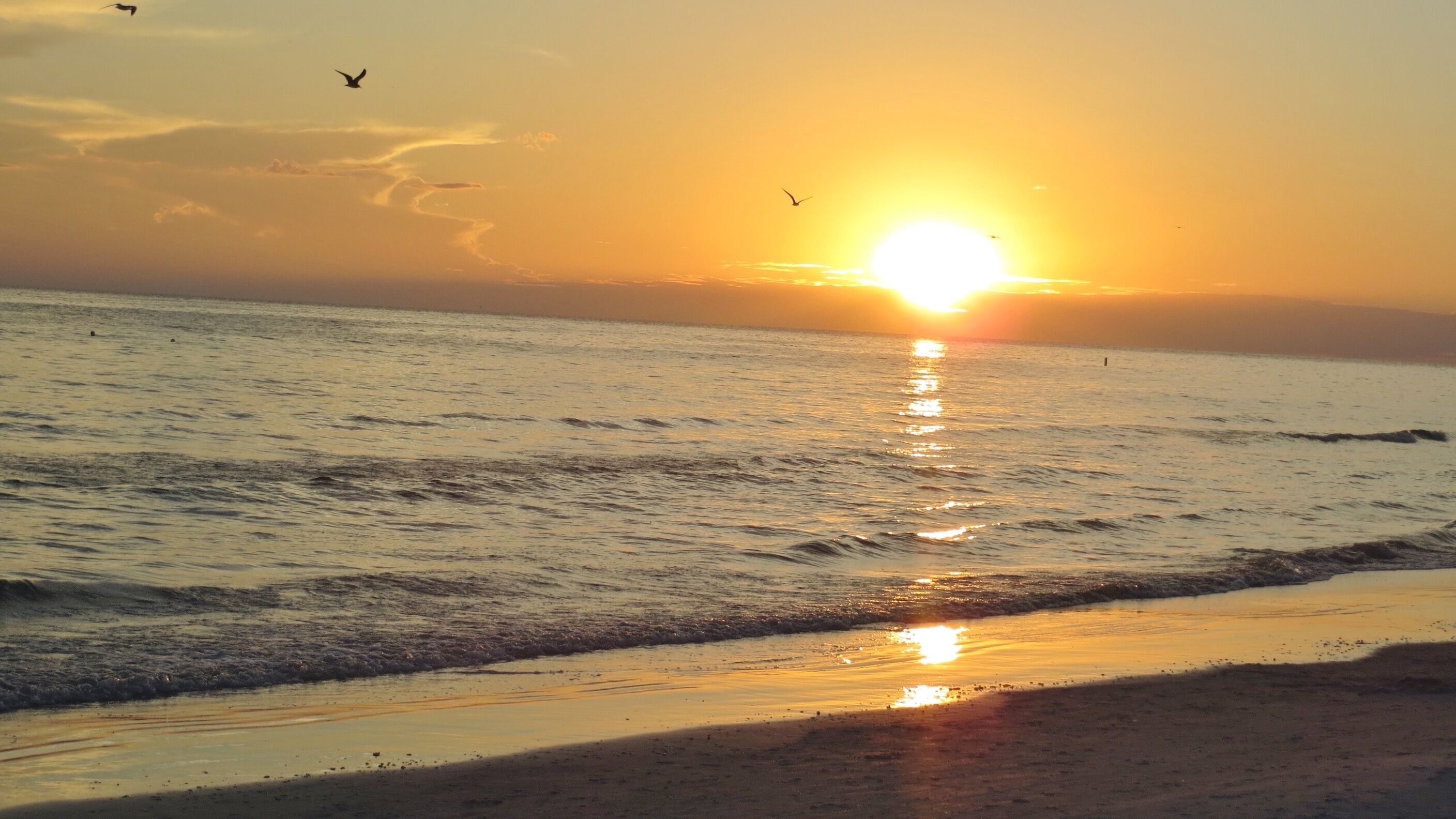 A beach scene with the sun setting over the ocean, waves gently lapping at the shore, and birds flying in the sky.