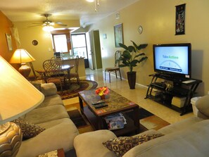 Televisión, videojuegos, reproductor de DVD y libros 