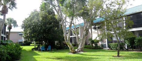 A courtyard with a large tree, a small tree, and a building with a blue roof.