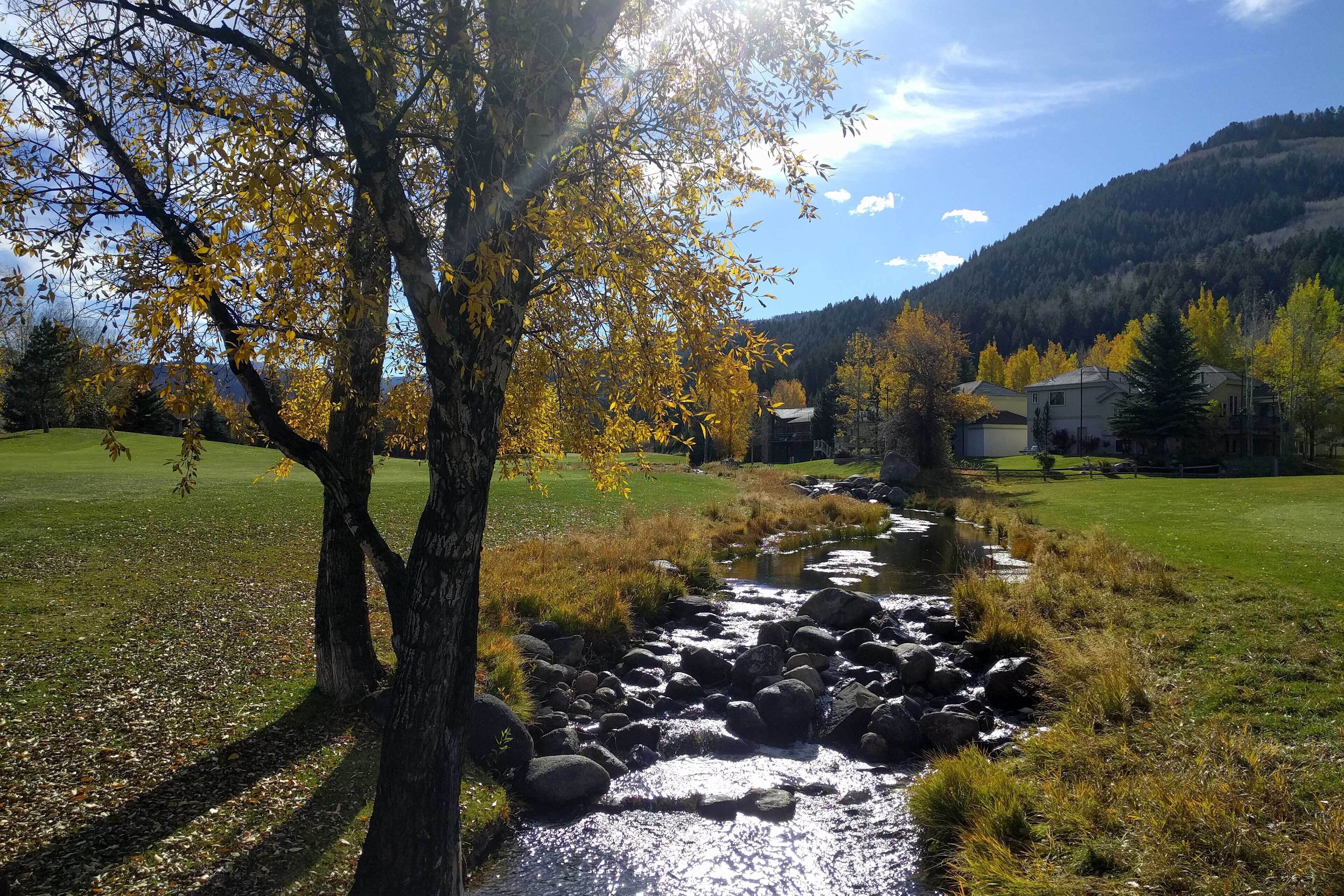 A stream flowing through a grassy area with trees and buildings in the background.