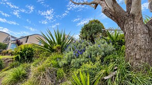 Un jardín con diversas plantas y un árbol, un edificio al fondo y un cielo despejado.