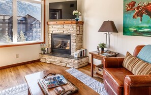 Smart TV, fireplace, books