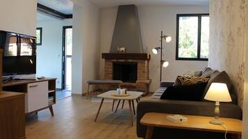 TV, fireplace, books