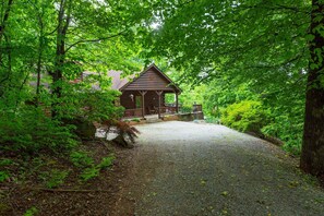A log cabin with a gravel driveway, surrounded by dense green foliage.