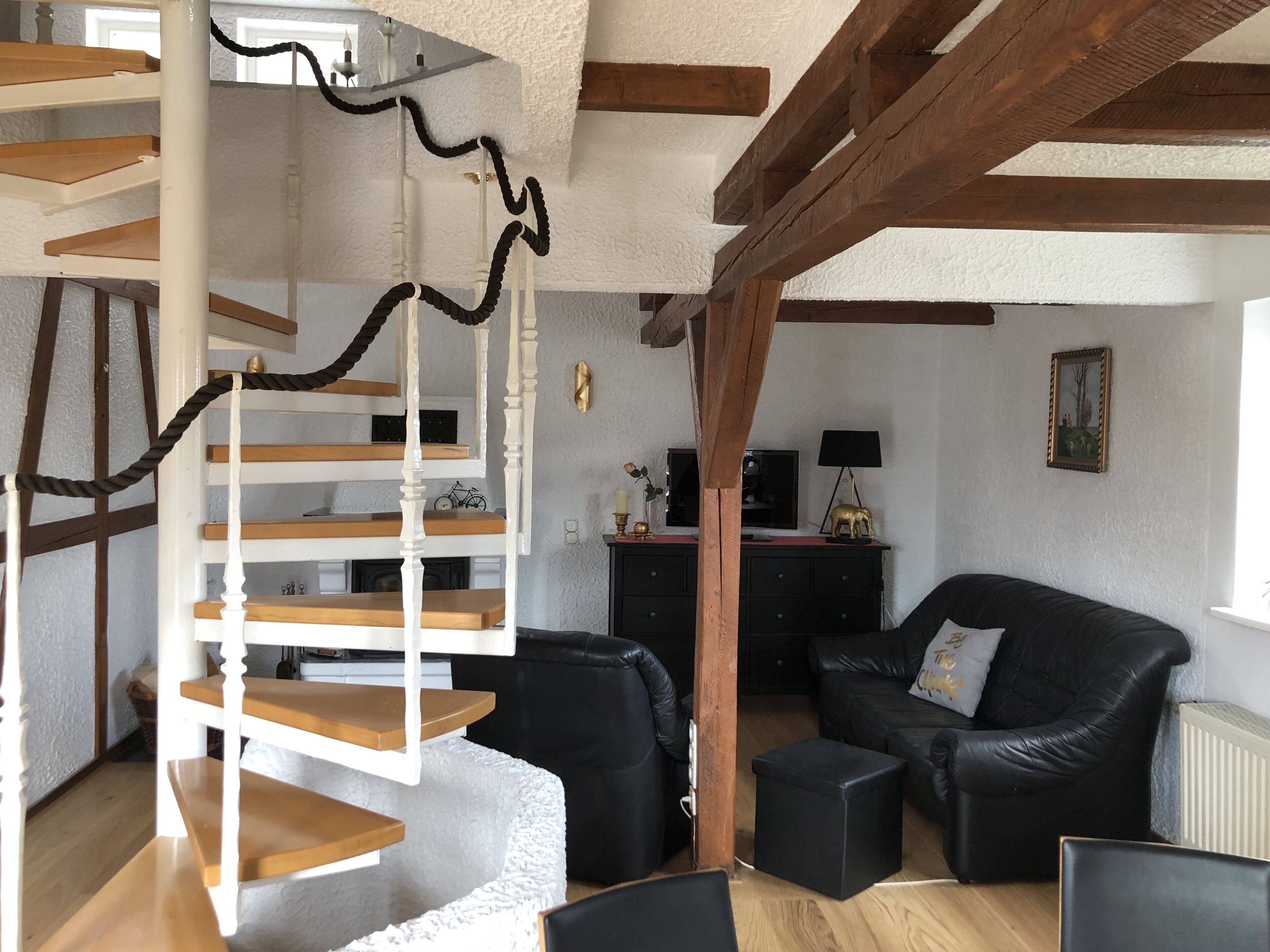 TV, fireplace, books