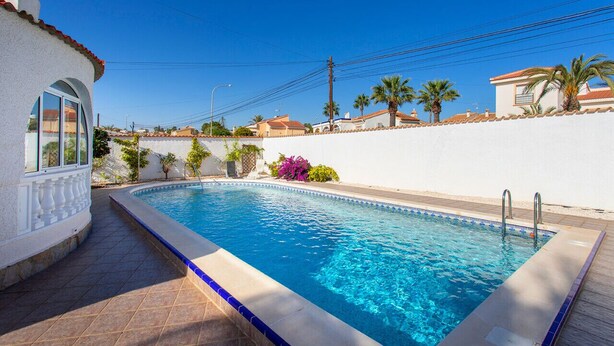 A swimming pool with a tiled deck, surrounded by a white wall and palm trees.