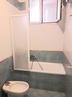 Ensemble douche/baignoire, sĂšche-cheveux, bidet, serviettes fournies