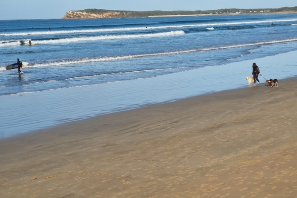 Ocean Grove beach is a 3 min drive away (or 20 min walk).